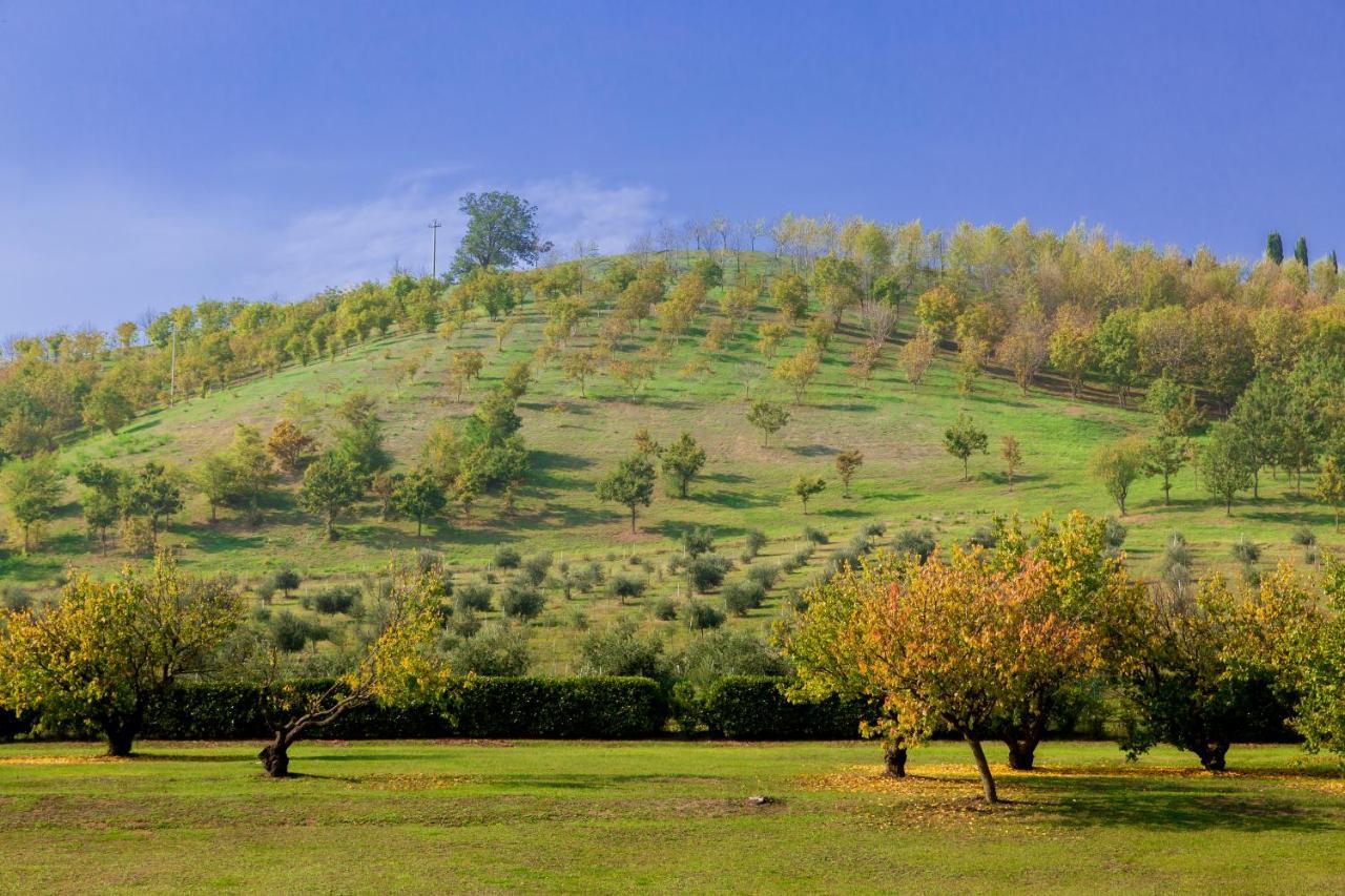 Ca' Malvasia - Bolognarooms Montecchio  Eksteriør billede